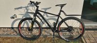 MTB-Hardtail, RADON ZR-Team 5.0, 27,5 Zoll, Unikat-Totalumbau Brandenburg - Fürstenwalde (Spree) Vorschau