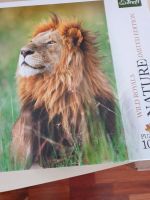 1000 teile puzzle Nature Wild royals  vollständig Lion King Rheinland-Pfalz - Neuwied Vorschau