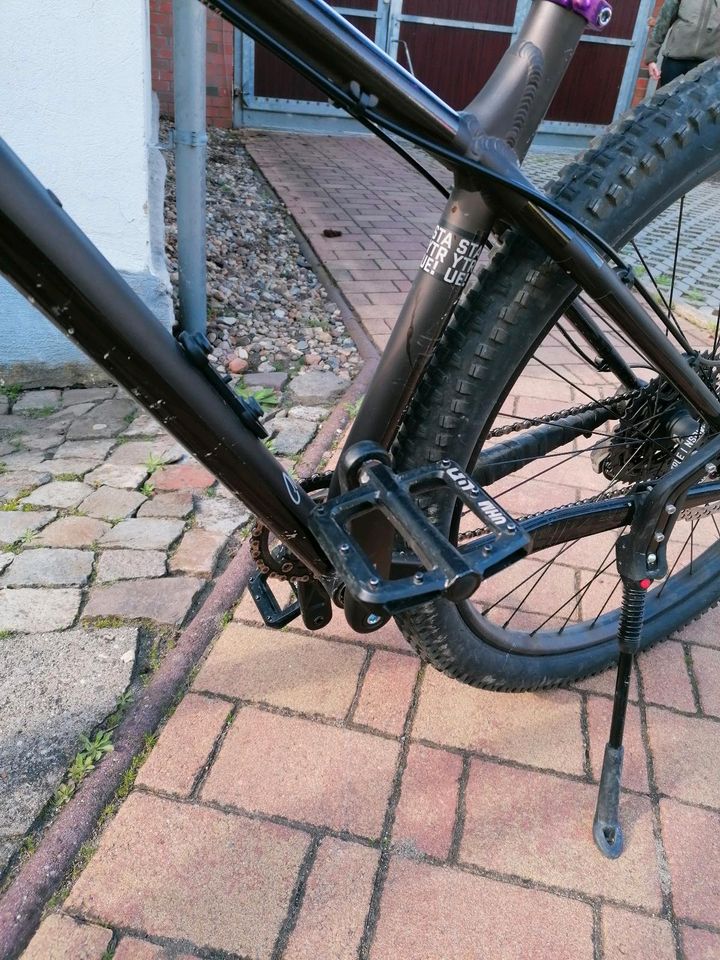 Ns Bikes Eccentric Lite 2 2020 in Niederndodeleben