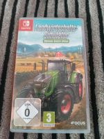 Nintendo Landwirtschaftssimulator Sachsen - Eilenburg Vorschau