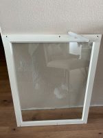 Ikea Pax Glas Einlegeboden 75cm Stuttgart - Möhringen Vorschau