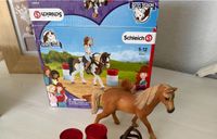 Schleich Horse Club 42441 Rheinland-Pfalz - Pommern Vorschau