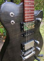 Framus E-Gitarre "Panthera Studio", Top-Zustand, Made in Germany Niedersachsen - Holtland Vorschau