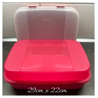 Tupperware neu Naschkätzchen groß rot,blau und rosa Feldmoching-Hasenbergl - Feldmoching Vorschau