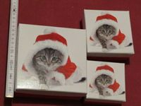 3 Geschenkkartons Katze /Weihnachten neu Baden-Württemberg - Donaueschingen Vorschau