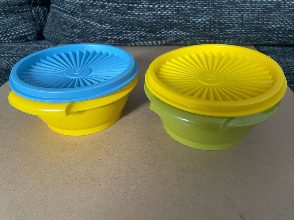 Tupperware Kühlschranktöpfe mit Sonnendeckel bunt in Rastede