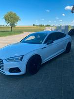 Audi A5 Sportback 2.0 TDI,S-Line/TUV NEU/Top Zustand Baden-Württemberg - Buchheim Vorschau