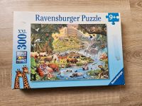 Ravensburger Puzzle Arche Noah 300 Teile Niedersachsen - Schüttorf Vorschau