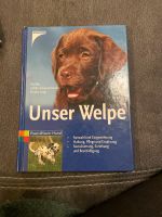 Unser Welpe von Kosmo Buch Nordrhein-Westfalen - Kevelaer Vorschau