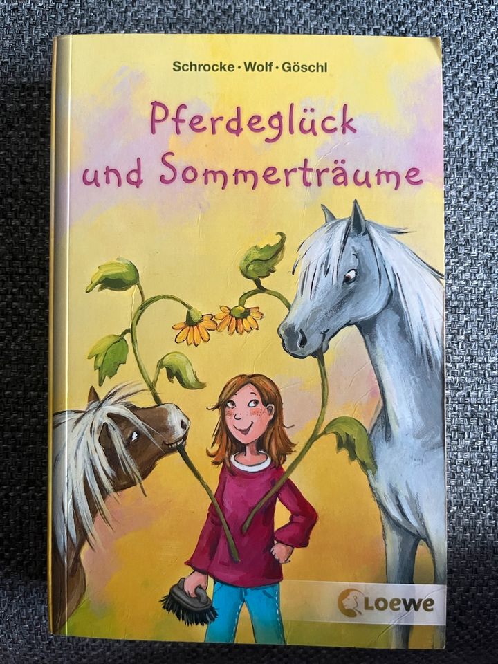 Kinderbuch - Pferdeglück und Sommerträume in Bad Laer