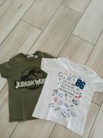 2 T-Shirts von H&M und TCM in Gr. 110/116 Bayern - Pfaffenhofen a.d. Ilm Vorschau