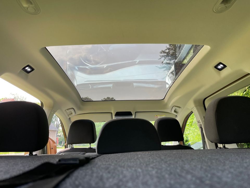 VW Caddy California 2.0TDI Küche,Klima,Pano,AppleCarPlay,Standh. in Meerbusch