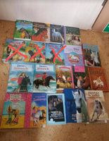 Pferdebücher je 2€ Ponys Pferde Reiten Reiterhof Kinderbücher neu Niedersachsen - Diekholzen Vorschau