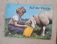 DDR-Kinderbuch / Auf der Weide, OSTALGIE Sachsen-Anhalt - Merseburg Vorschau