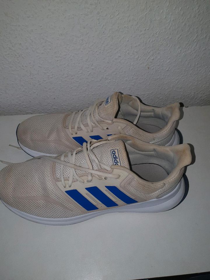 Adidas Schuh in Nordhausen