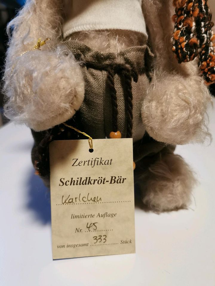 Große Sammlung Künstlerbären in Albersdorf