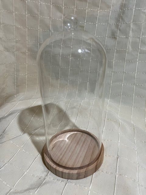 Glassturz, Glasdom mit Holzboden, innen 20 x 9,5 cm in Groß-Bieberau