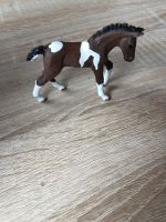 Schleich „ Trakehner Fohlen „ Hessen - Niederaula Vorschau