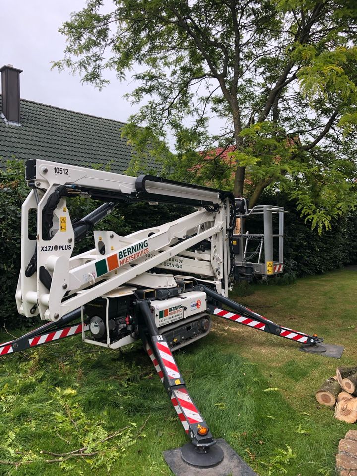 Baumfällung Sturmschaden Baumpflege Wurzelfräsen Hackschnitzel in Saerbeck