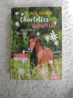 Buch - Set Charlottes Traumpferd 1-6 Niedersachsen - Jemgum Vorschau