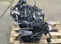 Motor Audi VW Skoda 2.0 TDI DFH - Komplett Brandenburg - Blankenfelde-Mahlow Vorschau