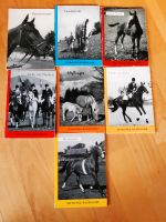 7x Schwarz Pferde Bilderbücher -Haflinger,Holsteiner 60er Jahre Kiel - Elmschenhagen-Kroog Vorschau