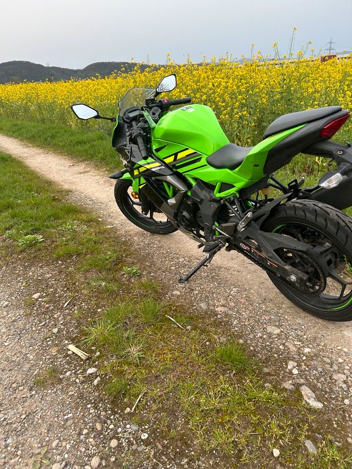 Kawasaki Ninja 125 in Rheinfelden (Baden)