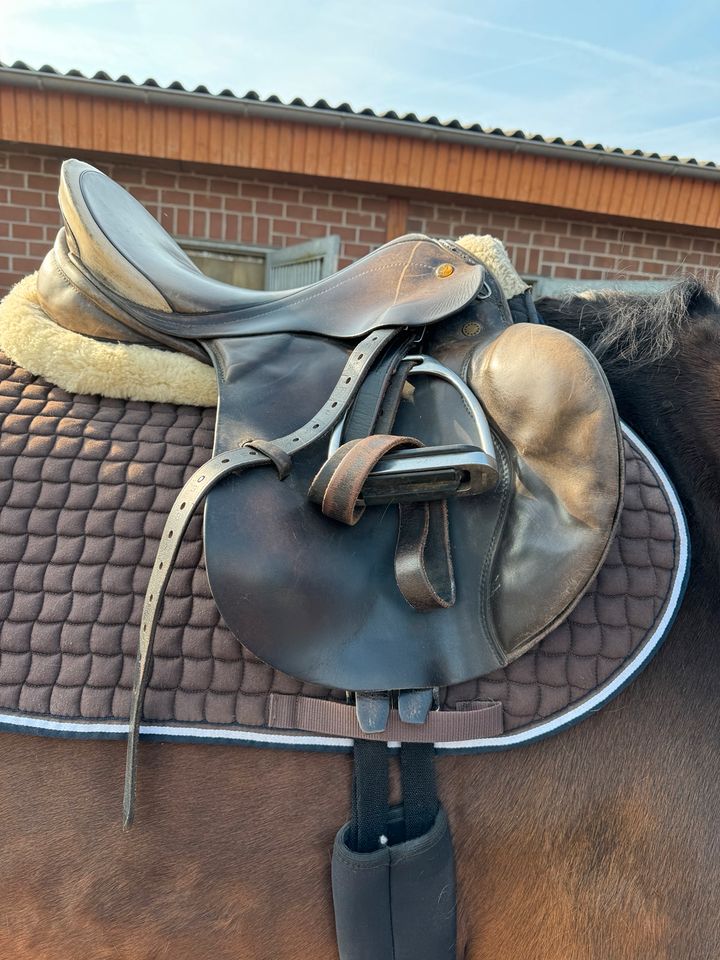 Prestige Springsattel, Venezia/Appaloosa braun 17“ in Duisburg