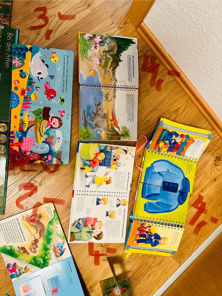 Magnet, Puzzle, Pop Up, Wimmelbücher Elsa, Pooh, was ist was in Langenstein