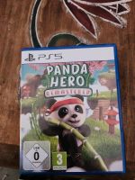 Panda Hero PS5 Niedersachsen - Vechta Vorschau
