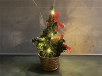 Mini Weihnachtsbaum mit USB LED Lichterkette Auto Lkw Haus Sachsen-Anhalt - Teutschenthal Vorschau