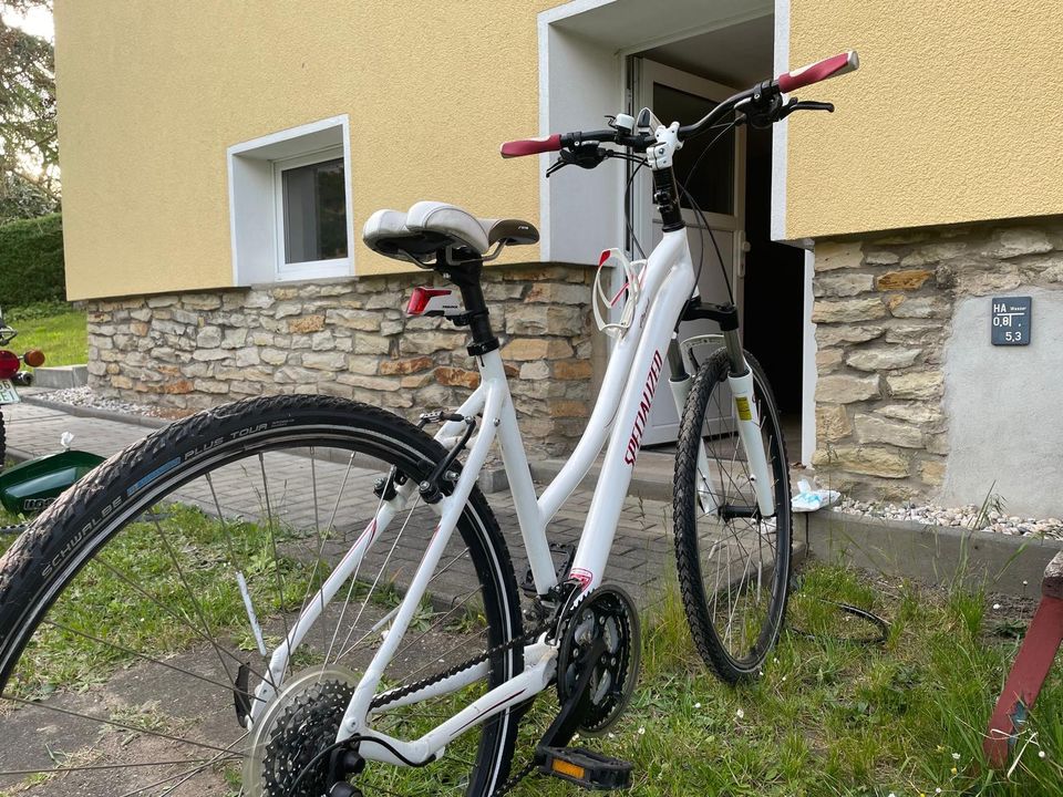 Fahrrad Specialize Ariel 48D Wß in Freital