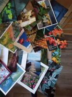 ca. 100 verschiedene Postkarten neu unbeschrieben Mecklenburg-Vorpommern - Wesenberg Vorschau