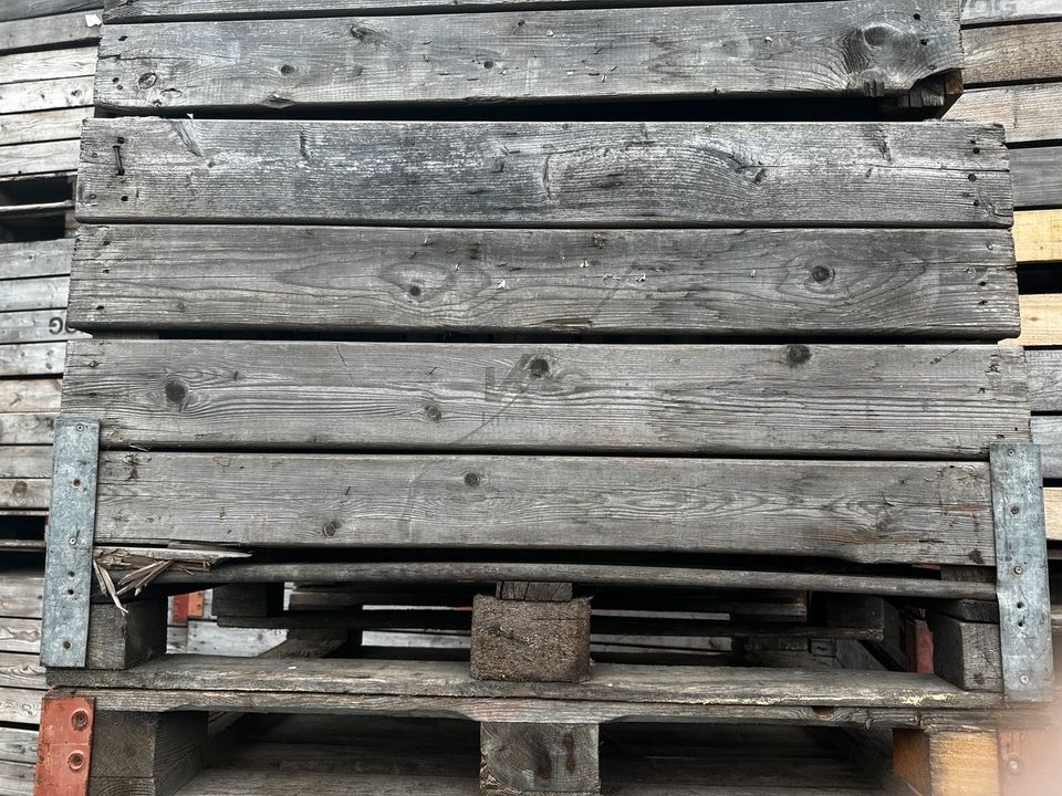 Erntebox Grosskisten Apfelbox Holz oder Kunststoff in Nieder-Hilbersheim