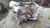 Mineral, Naturstein Rheinland-Pfalz - Dannstadt-Schauernheim Vorschau