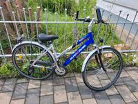 Frauen Fahrrad Bayern - Regenstauf Vorschau