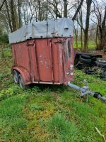 Viehtransporter Wurster Nordseeküste - Nordholz Vorschau