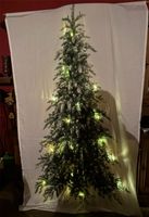 Weihnachtsvorhang Tannenbaum mit LED Saarland - Eppelborn Vorschau