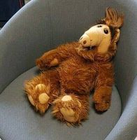 Sehr gut erhaltener ALF sucht neues zu Hause Bergedorf - Hamburg Lohbrügge Vorschau