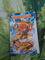 Goldfisch - Nana Ya München - Ramersdorf-Perlach Vorschau