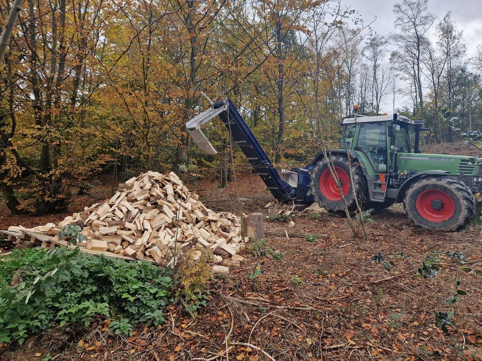 Lohnspalten Brennholz Brennholzproduktion in Meinerzhagen