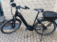 E-Bike Pegasus Solero EVO 8F LT Nordrhein-Westfalen - Swisttal Vorschau