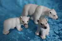 Schleich Eisbär Familie - Top Zustand Nordrhein-Westfalen - Frechen Vorschau