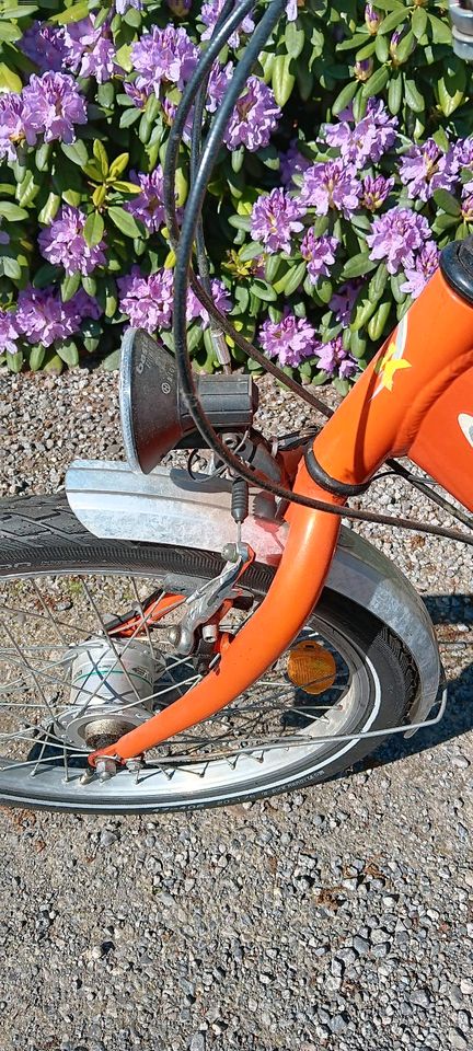 Fahrrad 20zoll in Cappeln (Oldenburg)