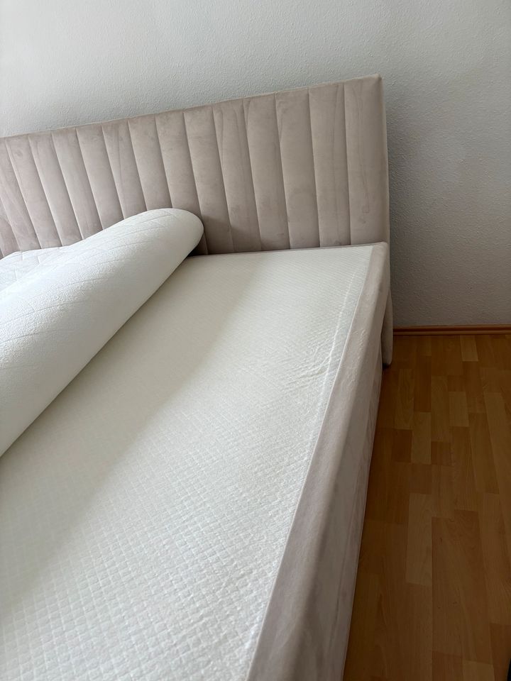 Boxspringbett 180x200 cm in Buesum