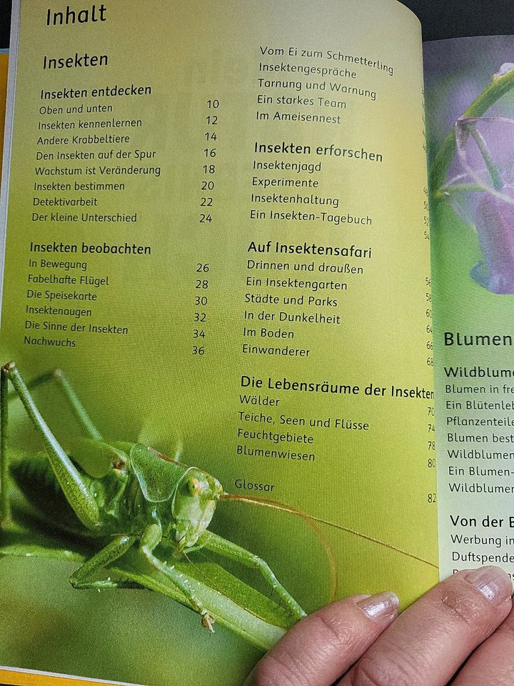 Ravensburger Mein Natur Erlebnisbuch Entdecke und erlebe Natur in Wolfhagen 