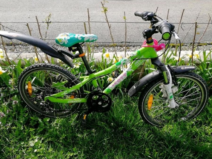 Mädchen Kinderfahrrad 20 Zoll in Horgenzell