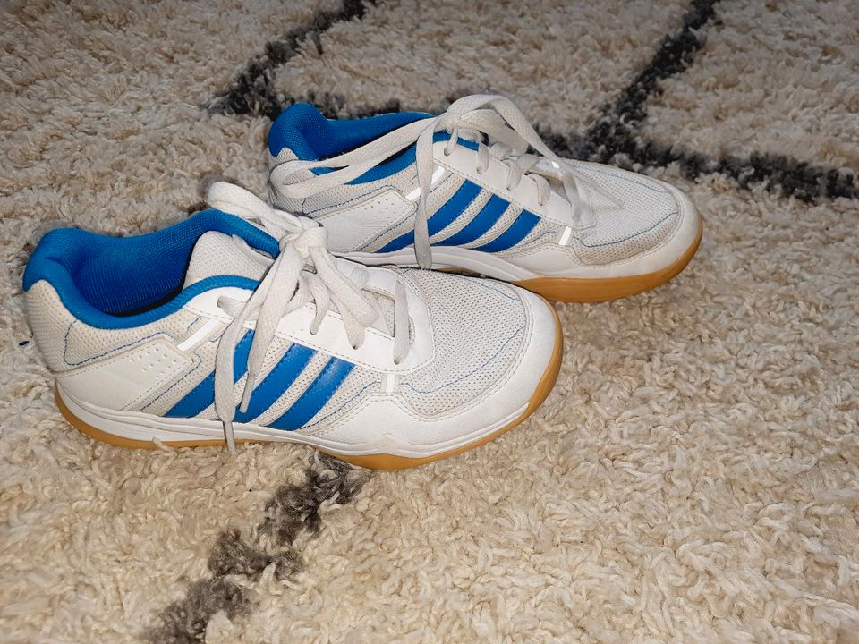 Turnschuhe adidas OrthoLite 36,5 weiß-blau in Leipzig