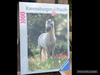 Ravensburger Puzzle, 1000 Teile, Pferd Hamburg Barmbek - Hamburg Barmbek-Süd  Vorschau