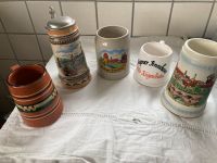 Fünf deutsche Bierkrüge aus den 1990 Jahren Sachsen - Pegau Vorschau